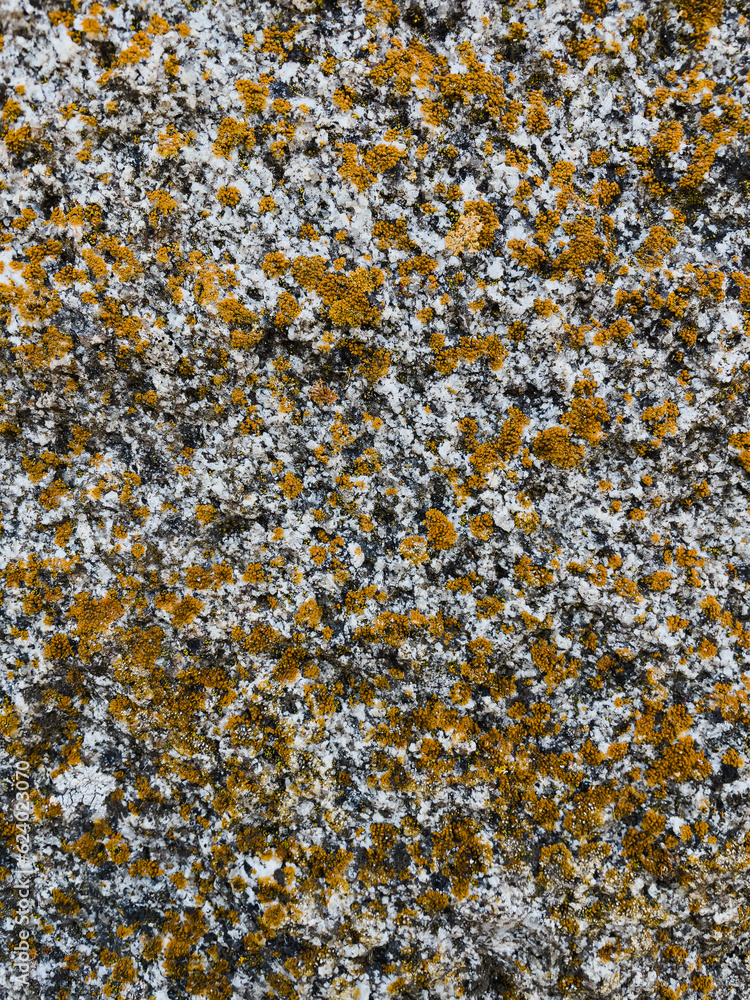 texture of stone with yellow lichen close up texture of stone with yellow lichen close up