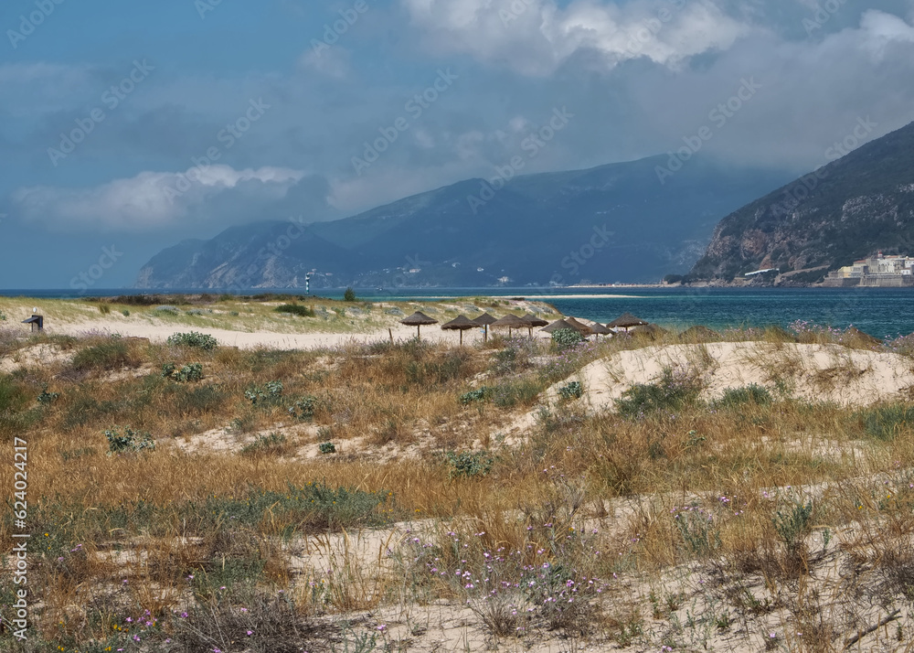 Beautiful nature with dunes and plants in Troia Peninsula Portugal Beautiful nature with dunes and plants in Troia Peninsula Portugal