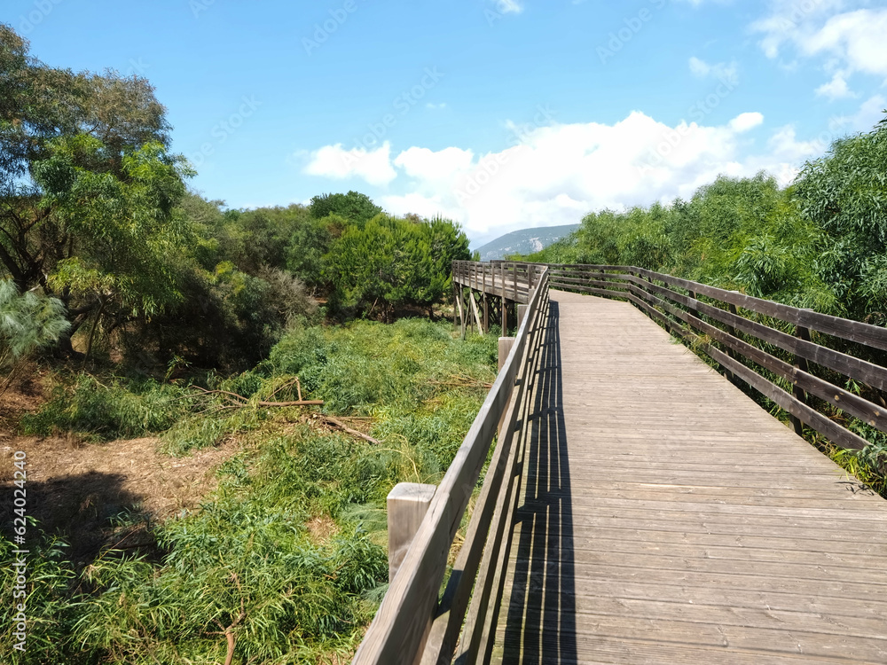 Beautiful nature with dunes and plants in Troia Peninsula Portugal