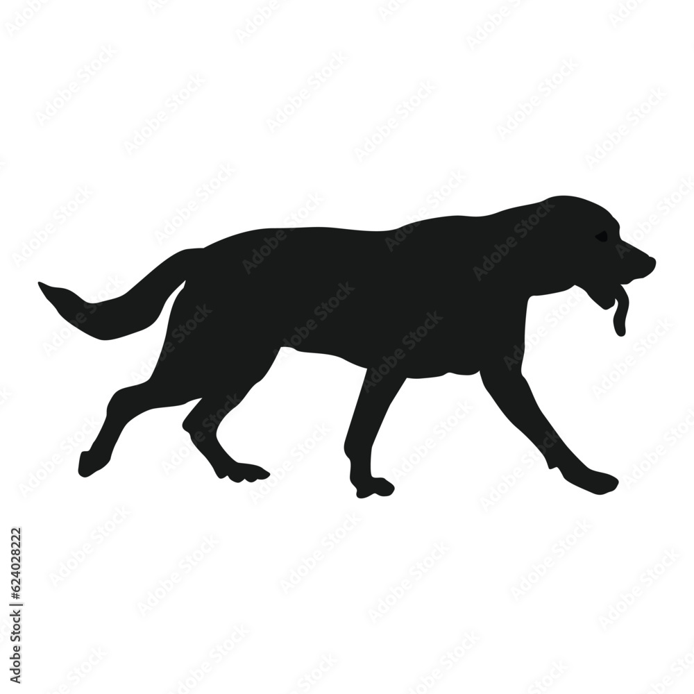 Dog line icon vector illustration symbol design