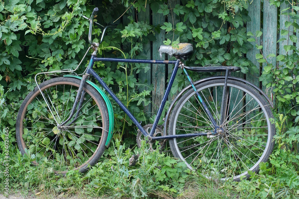 one old blue bicycle stands against a wooden fence wall overgrown with green vegetation in the grass on a rural street