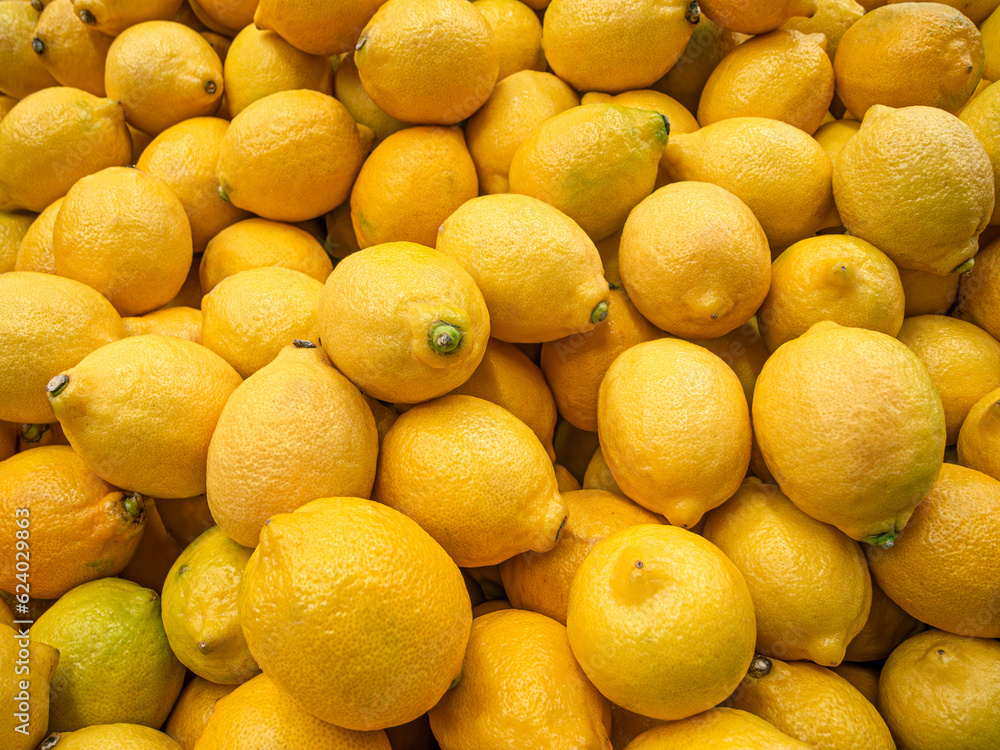 Ripe yellow lemons background or texture. Lemon harvest.