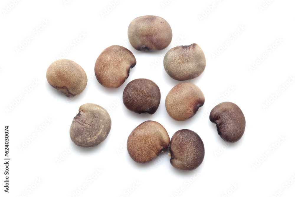 Close-up of Dried Organic Cluster beans or Guar phali (Cyamopsis tetragonoloba) seeds isolated on white background. Top view. Close-up of Dried Organic Cluster beans or Guar phali (Cyamopsis tetragonoloba) seeds isolated on white background. Top view.