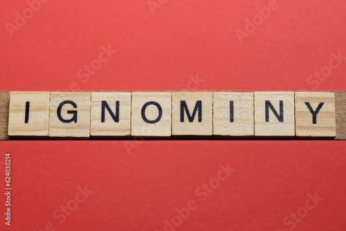text the word ignominy from gray wooden small letters with black font on an red table