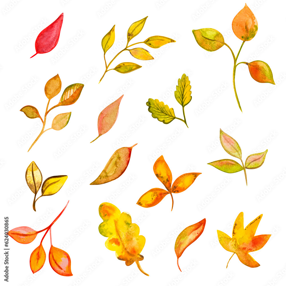 set of watercolor yellow autumn leaves, hand drawing, png on a transparent background