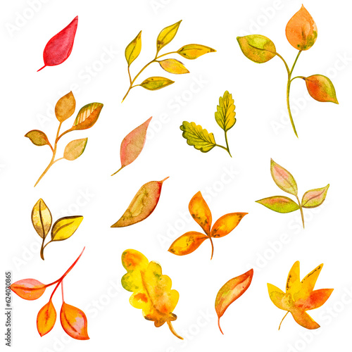 set of watercolor yellow autumn leaves  hand drawing  png on a transparent background
