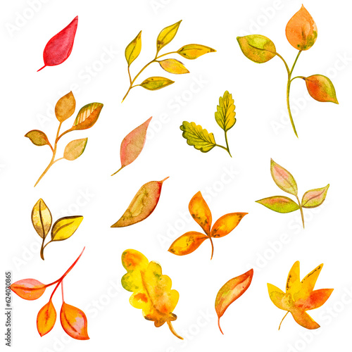 set of watercolor yellow autumn leaves, hand drawing, png on a transparent background © Маргарита Вайс