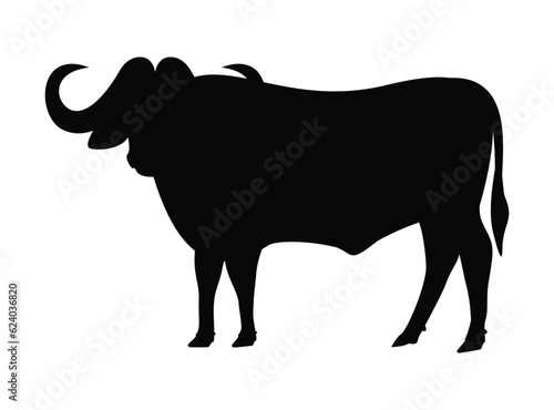 The African buffalo silhouette isolated on white, vector illustration