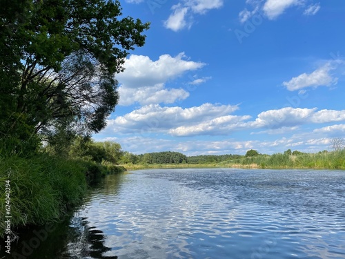 Pilica river in summer