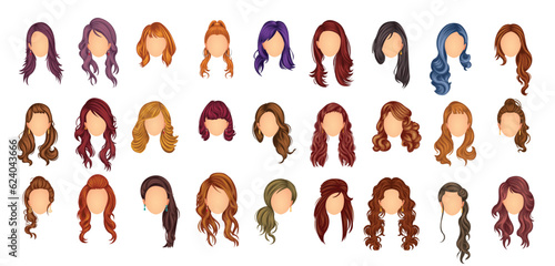 Set of beautiful hair style