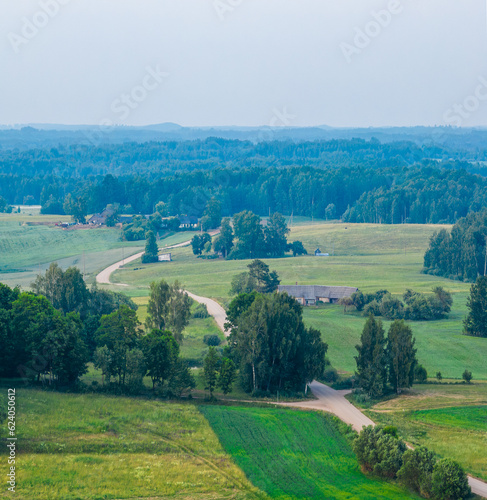 Meadows and forests on the Latgale side, summer landscapes. © mode