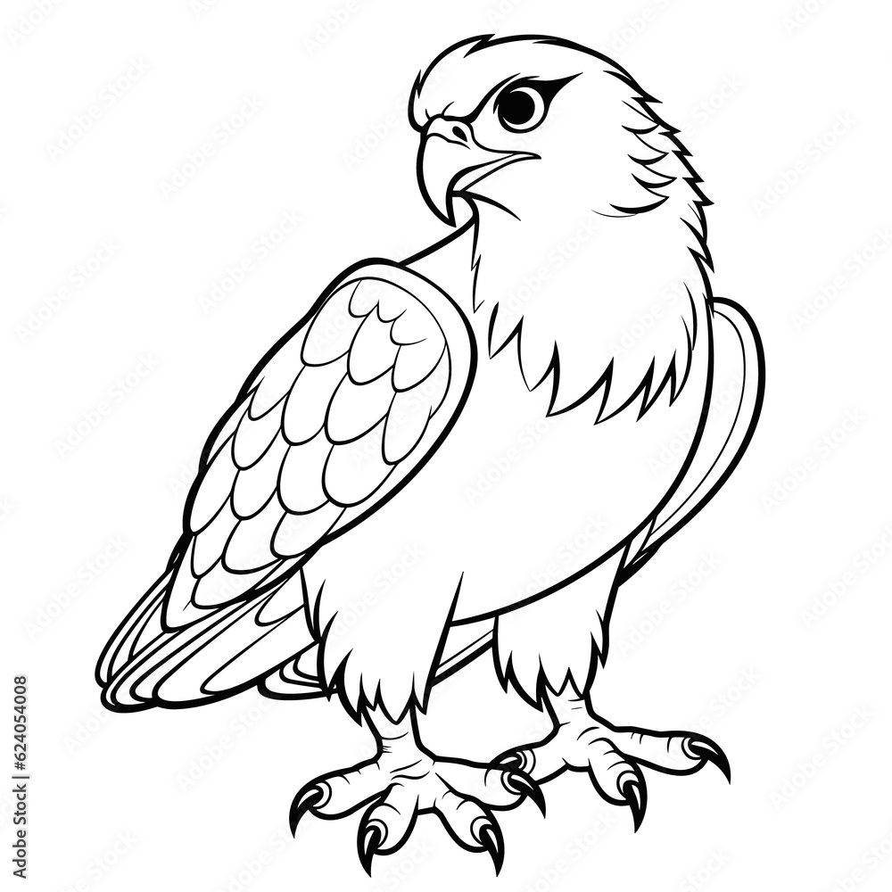 Hawk coloring pages Png animals Hawk coloring pages Png animals
