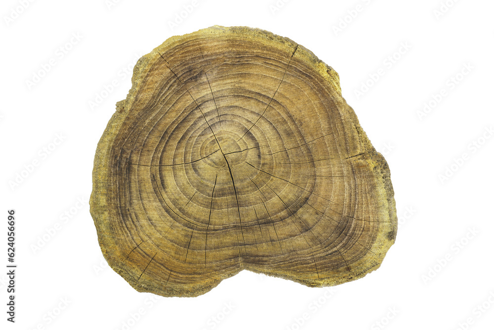 Solid wood plank isolated on a white background Solid wood plank isolated on a white background