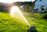 Watering young grass from a watering gun, visible drops of water against the background of the sun.