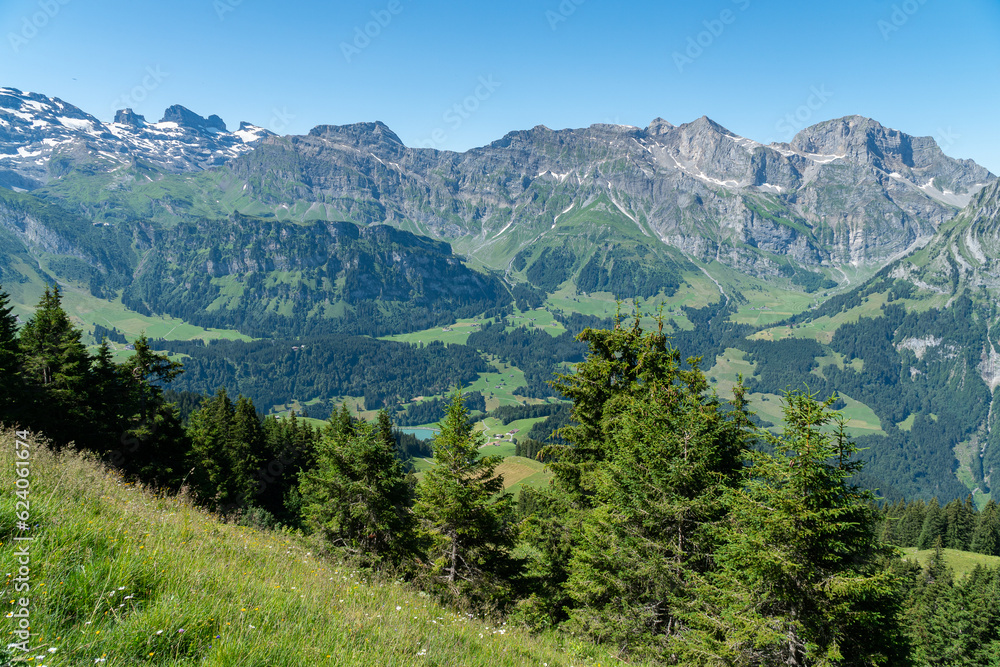 mountain view with trees in front in Engelberg on the Walenpfad hike in the Swiss alps