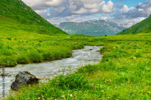 Green Alpine meadow with water stream