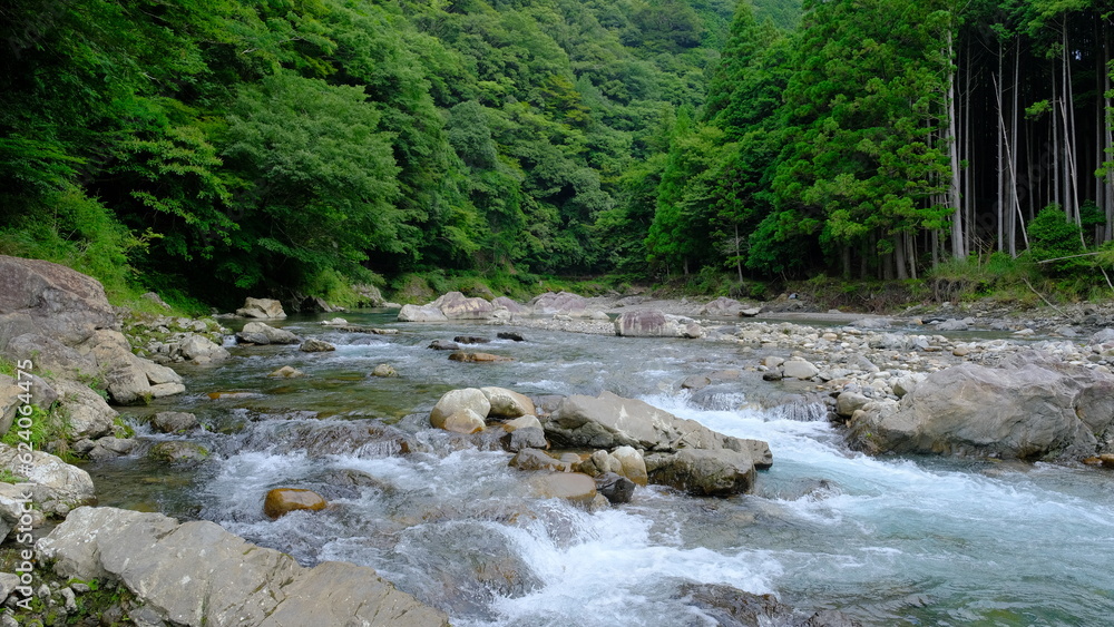 川の風景 川の風景