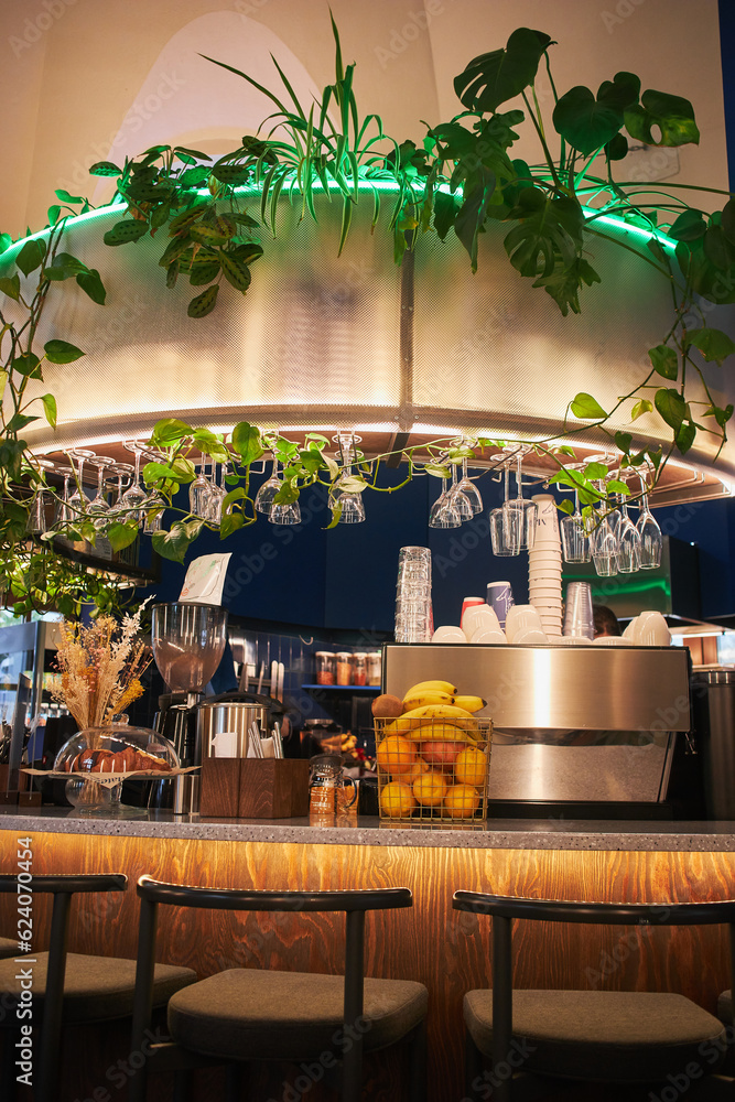 Bar counter in a cafe with a coffee machine and green plants from above