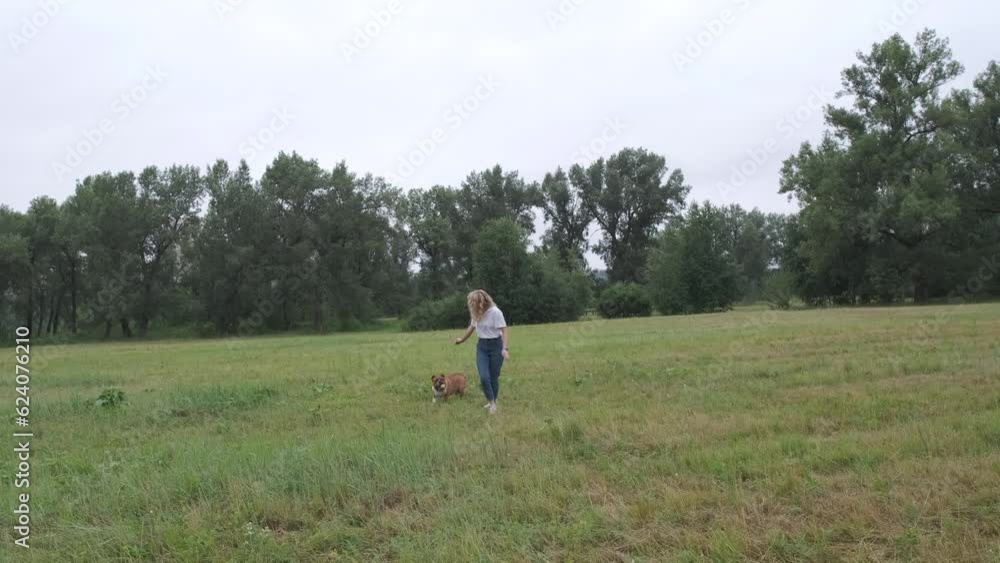 English Bulldog play with female owner on meadow in summer. English Bulldog play with female owner on meadow in summer.