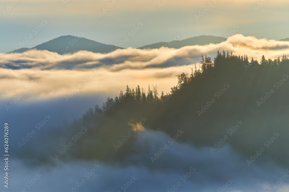 Misty Pines: Majestic Mountain Ridges Enveloped in Fog