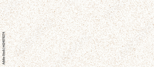 Vector modern terrazzo floor texture mixed black white gray color stone .The structure of porous stone texture, pebble stone background.	