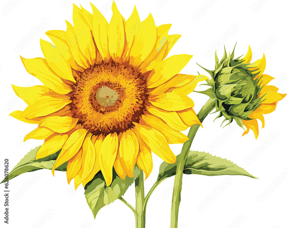 Obraz premium Sunflower watercolor painting illustration suitable for wedding, greeting card, fabric, textile, wallpaper, ceramic, brand, web design, stationery, cosmetic, social media, scrapbook.GenerativeAI.