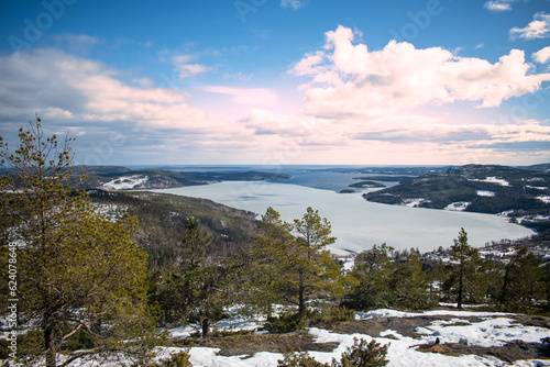 A panoramic view of the snow covered trees in the snowdrifts. © Souvik