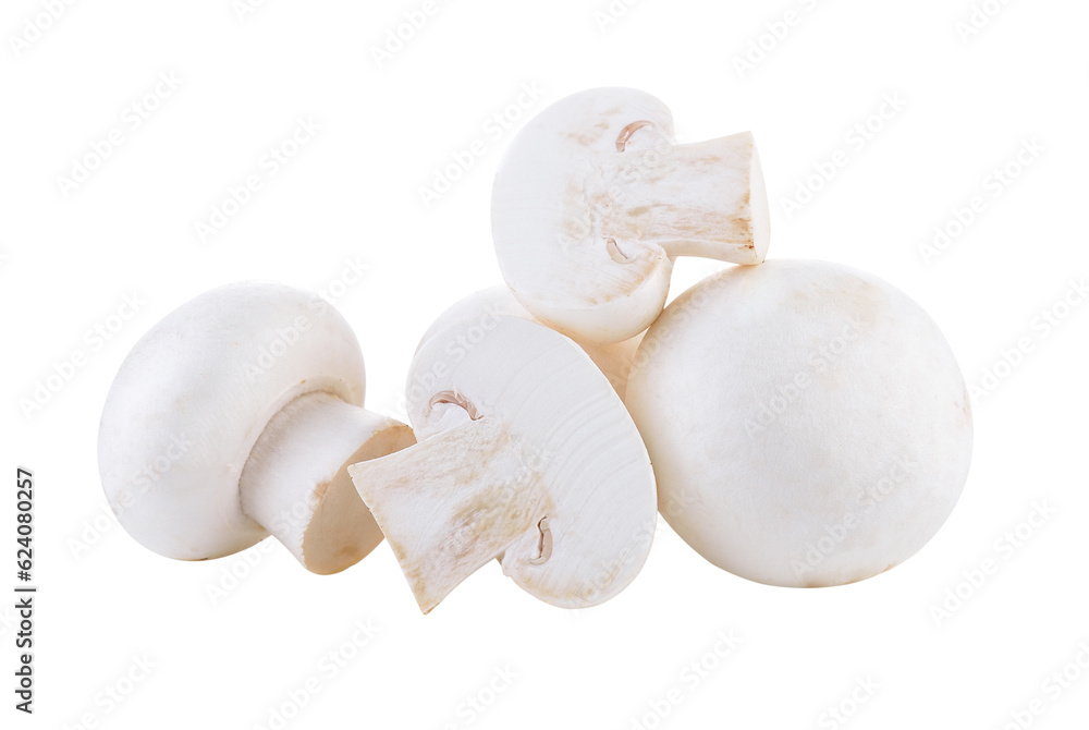 Champignon mushroom on transparent png Champignon mushroom on transparent png
