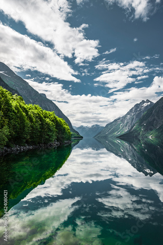Wasserspiegelung an einem Fjord in Norwegen