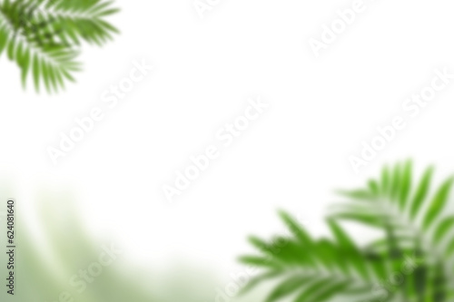 Green thee brunch on a transparent isolated background. Frame from brunch. Set of decorative borders with green branches, png