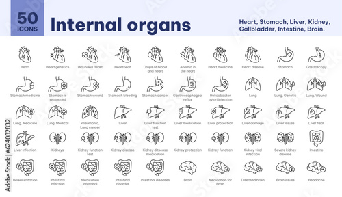 Icons internal organs, heart, stomach, liver, kidney, gallbladder, intestine, brain