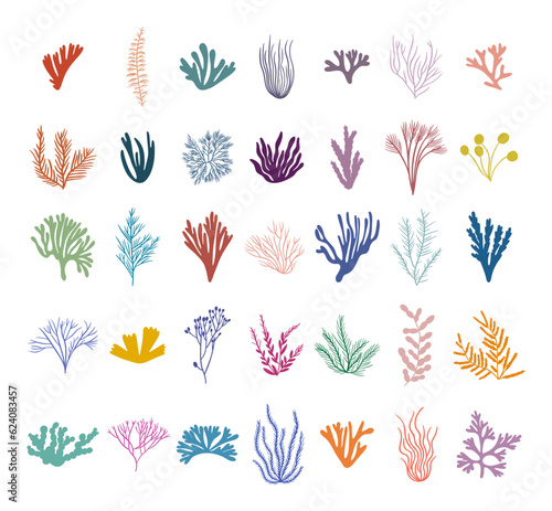 Colored seaweed big set. Marine plant elements. Flat vector illustration on white background.