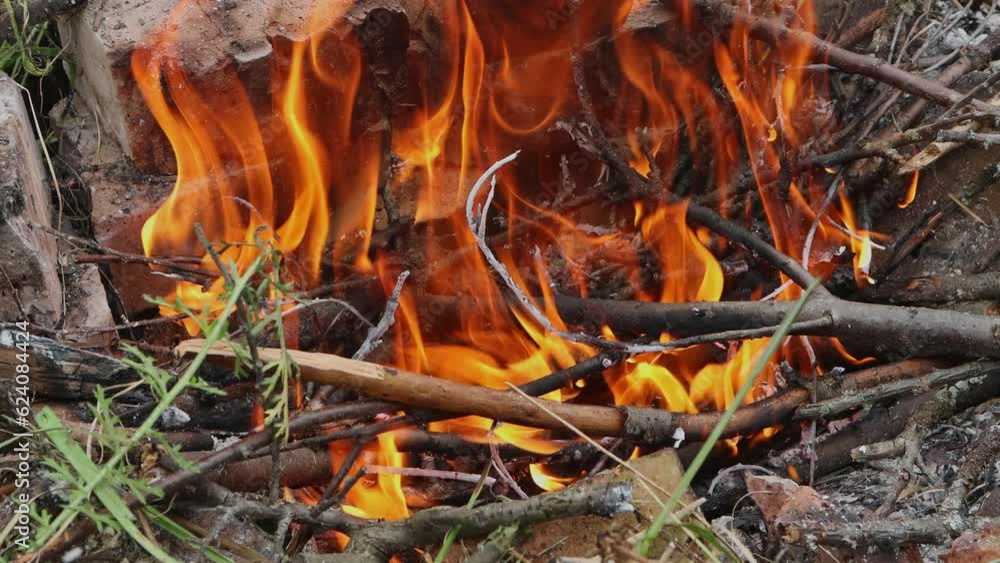 Bonfire in the forest, close-up fire Bonfire in the forest, close-up fire