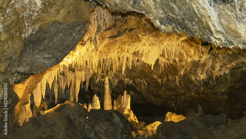 Važecká Cave in Slovakia is known for its underground beauties and bone finds of cave bears ( Ursus spelaeus ). photo