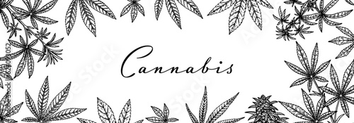 Cannabis horizontal design for packaging, social media posts, store decoration, branding, certificates. Marijuana vector illustration in sketch style. Hemp engraved background