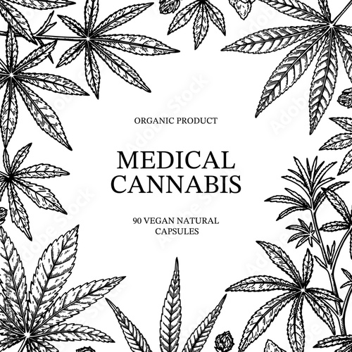 Cannabis square design for packaging, social media posts, store decoration, branding, certificates. Marijuana vector illustration in sketch style. Hemp engraved background