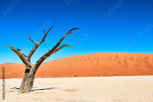 Fototapeta Naklejka Na Ścianę i Meble -  Namibia