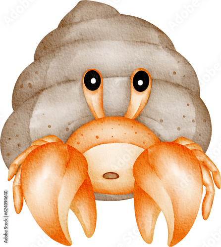 Vászonkép watercolor hermit crab