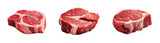 Raw beef stake vector set
