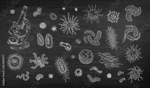 Biological drawings of viruses and bacteria with a microscope Contour graphics pen doodle