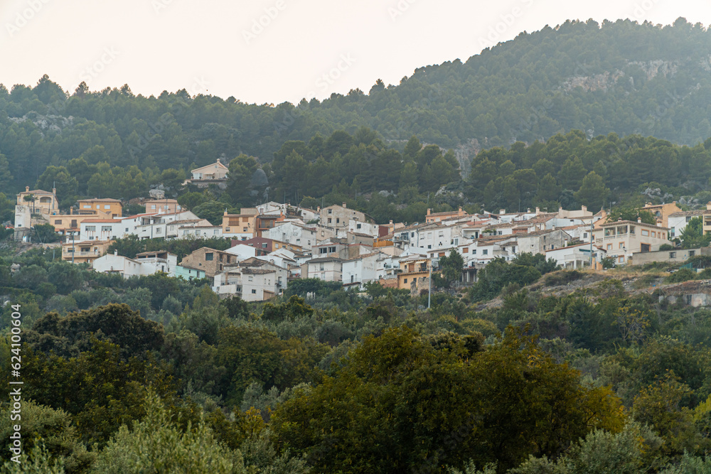  A small village in the mountains surrounded by a green forest