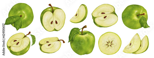Set of watercolor juicy green apples.Vector graphics.