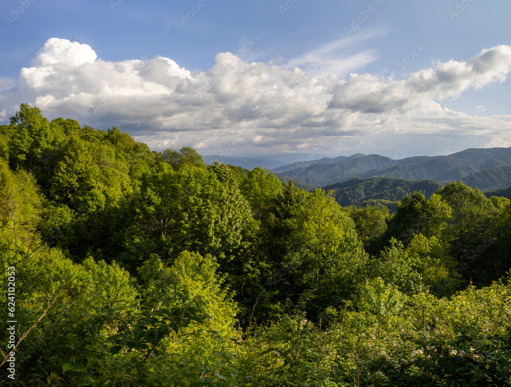 Great Smoky Mountains National Park.