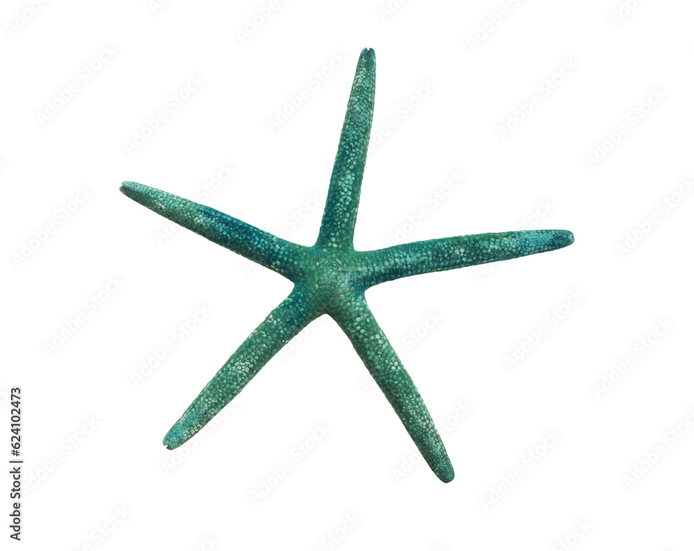 Colored green blue starfish isolated png file Colored green blue starfish isolated png file