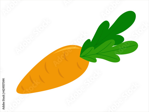 Cartoon carrot isolated background. Healthy Vegetables graphic vector illustrations