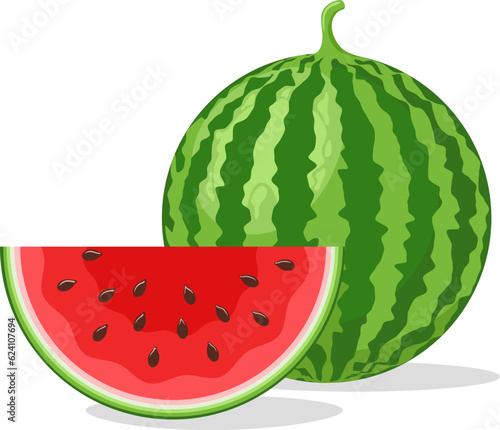 Cartoon isolated melon