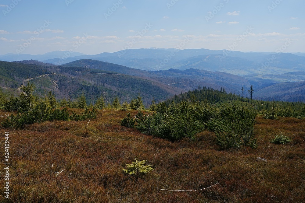 Nature of Silesian Beskid near european Szczyrk town in Poland