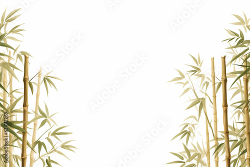 bamboo or bamboo shoots © Gun