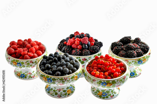 Kinds of berries