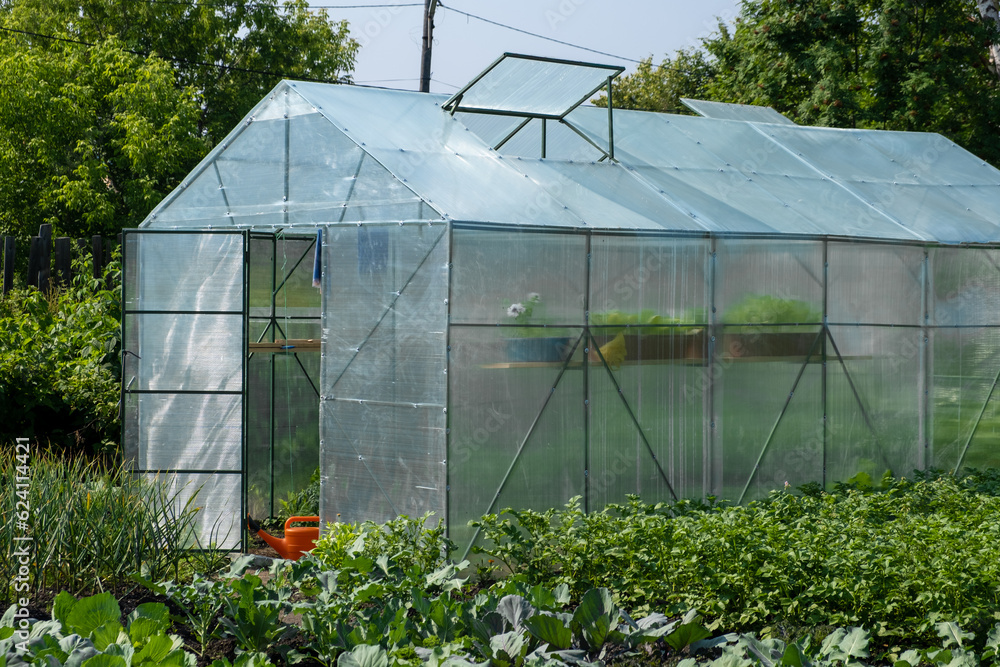 Greenhouse in the vegetable garden for growing tomatoes, cucumbers, other plants in the garden with green vegetation on a sunny summer day. Greenhouse in the vegetable garden for growing tomatoes, cucumbers, other plants in the garden with green vegetation on a sunny summer day.